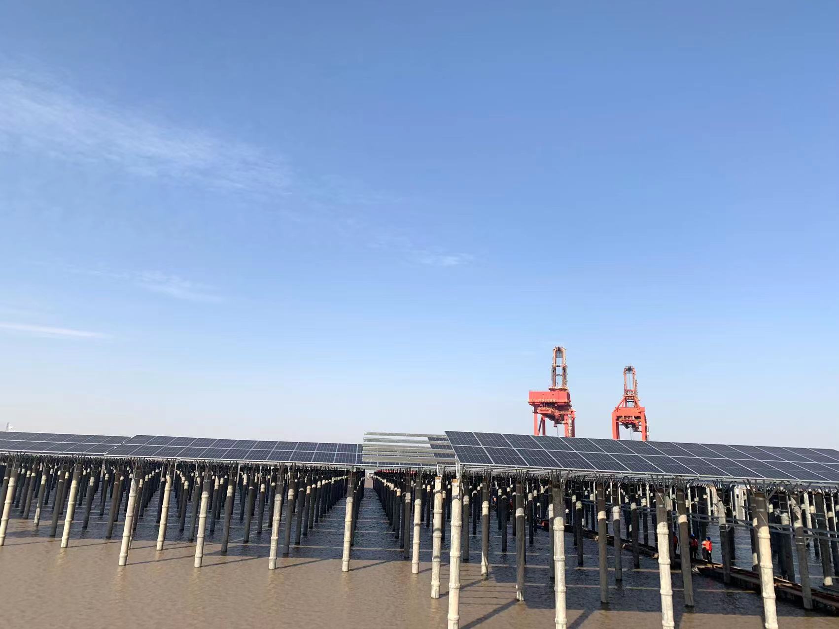 国能浙江北仑45.3MW项目-1.jpg